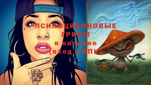 трава Киренск