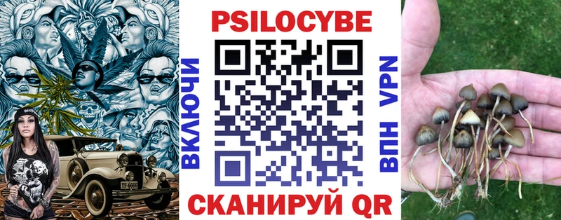 Галлюциногенные грибы мухоморы  Купить  Партизанск 